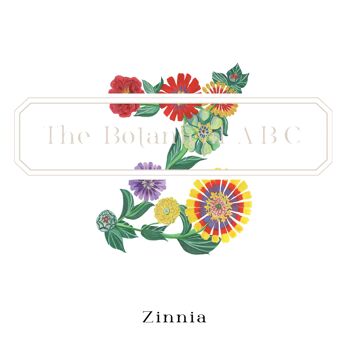 Fleur Lettre Imprimé Z - Zinnia Small 3