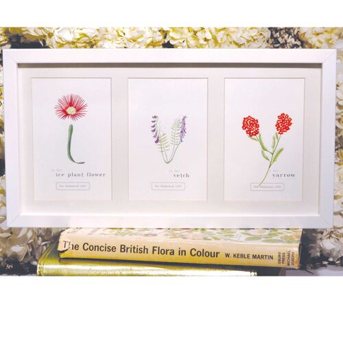 Flower Letter Print V - Vetch Large