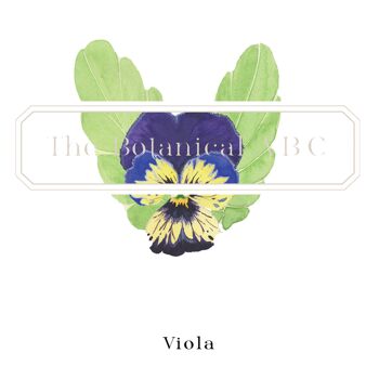 Fleur Lettre Imprimé V - Viola Small 4