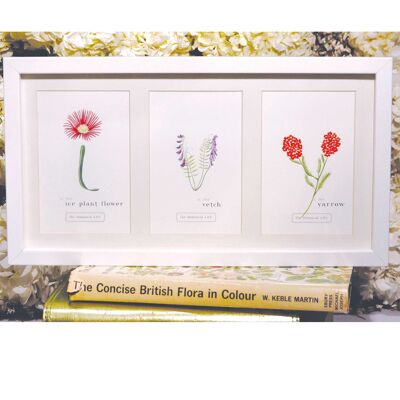 Flower Letter Print V - Verbena Large