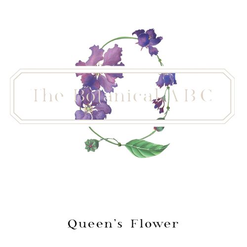 Flower Letter Print Q - Queen's Flower Large