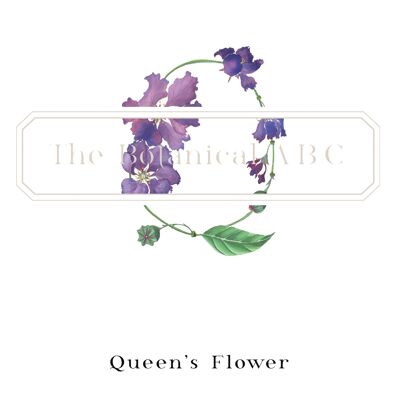 Flower Letter Print Q - Queen's Flower Large