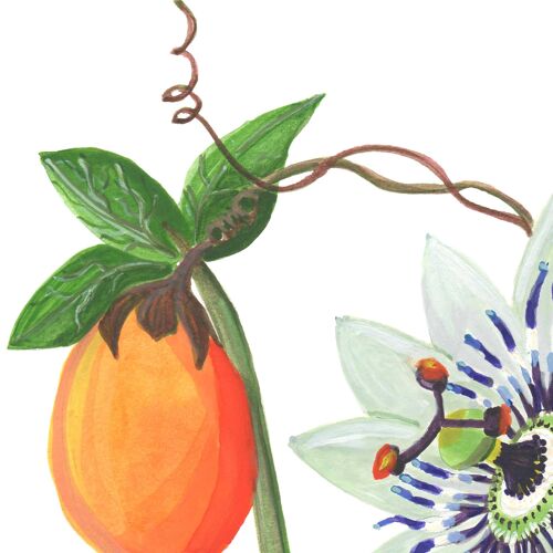 Flower Letter Print P - Passionflower Large