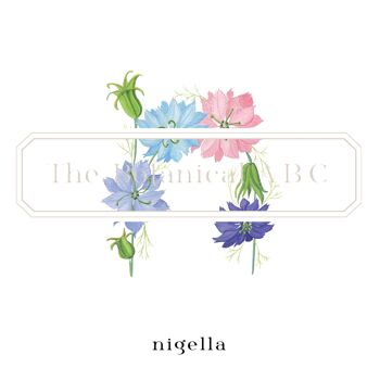 Fleur Lettre Imprimé N - Nigelle Large 3