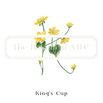 Fleur Lettre Imprimé K - King's Cup Small 3