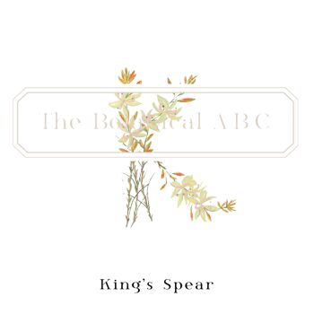 Fleur Lettre Imprimé K - King's Spear Small 2