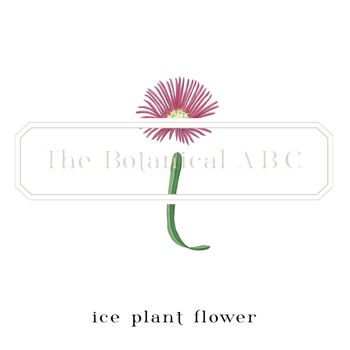 Flower Letter Print I - Ice Plant Flower Small 3