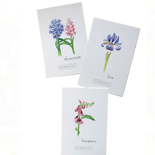 Flower Letter Print H - Hyacinth Small