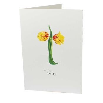 T est pour tulipe 1