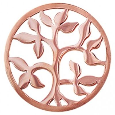 Coin slice albero rosato