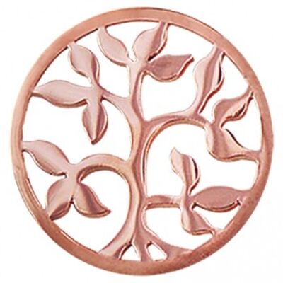 Coin slice tree rosé