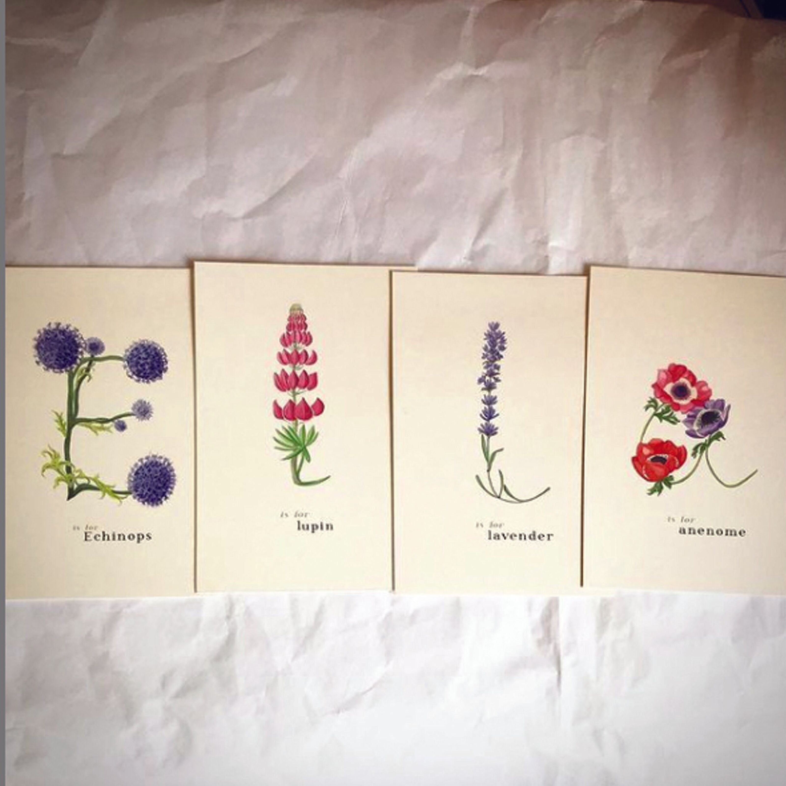 Alphabet letter postcards pressed flowers - Botanopia