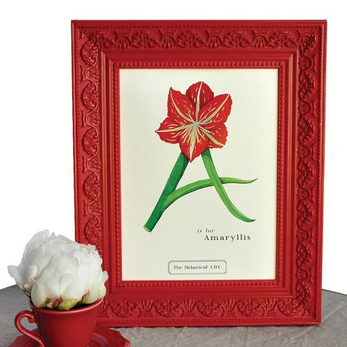 Flower Letter Print A - Amaryllis Large