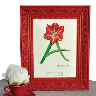 Flower Letter Print A - Amaryllis Small