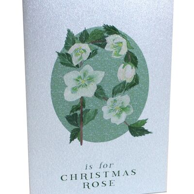 Botanical Letter Silver Christmas Cards - Christmas Rose Silver Card