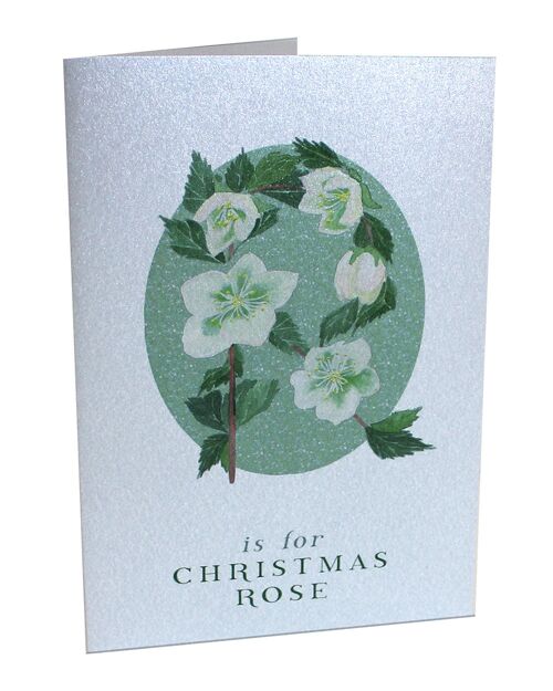 Botanical Letter Silver Christmas Cards - Pack of 6 Christmas Rose Silver Cards