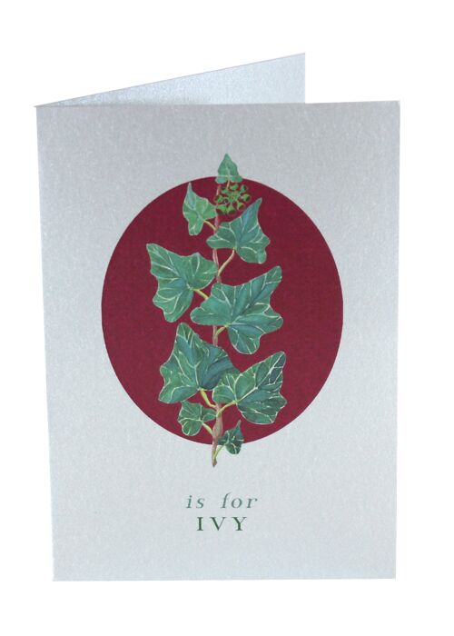 Botanical Letter Silver Christmas Cards - Ivy Silver Card