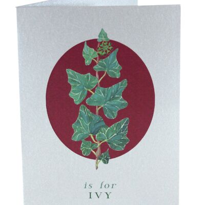 Botanical Letter Silver Christmas Cards - Ivy Silver Card