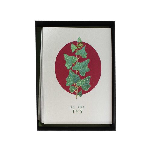 Botanical Letter Silver Christmas Cards - Box Set of 12 Assorted Silver Christmas Cards
