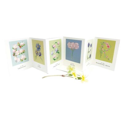 EASTER Concertina Card & Decoration