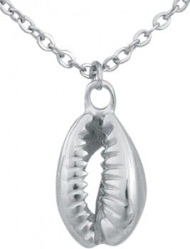 Guscio della catena in acciaio inossidabile