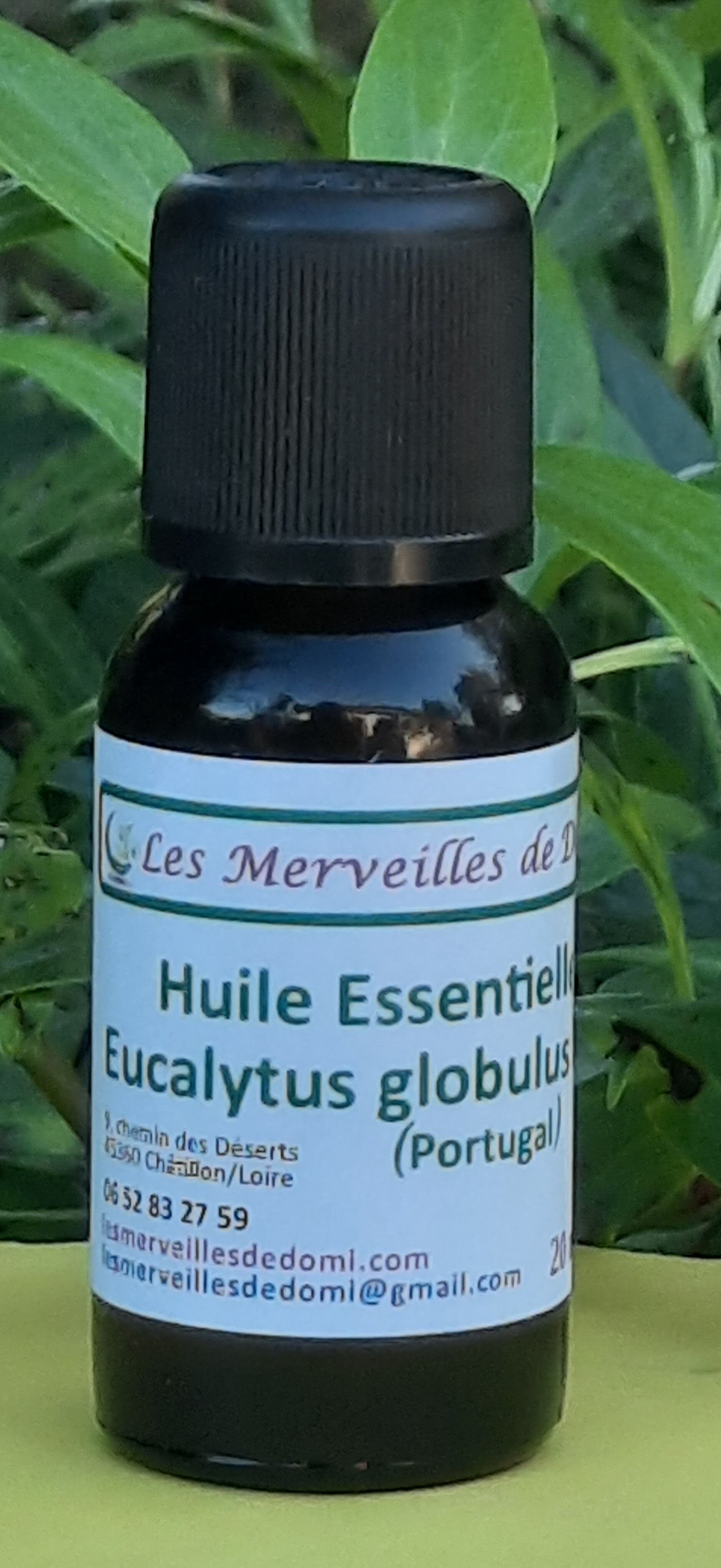 OLIO ESSENZIALE DI EUCALIPTO GLOBULUS BIOLOGICO 20 ml