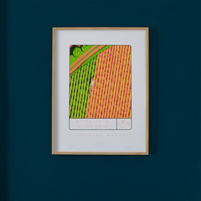Serigrafia 30x40cm Vigneti di Nantes