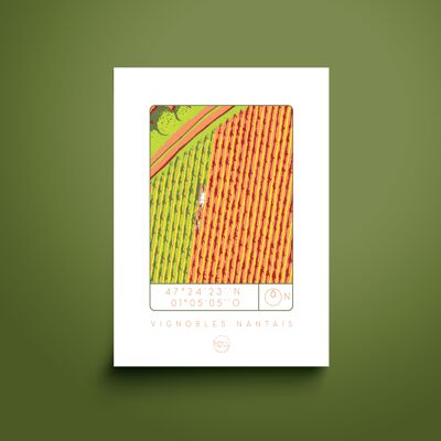 Postkarte der Weinberge von Nantes