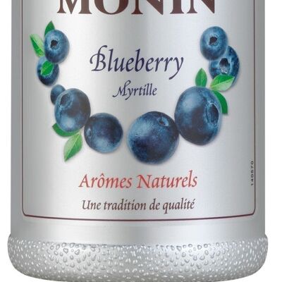 Le Fruit Myrtille MONIN - Arômes naturels - 1L