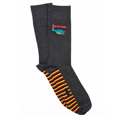 Belgitude Socks: Men's cotton socks