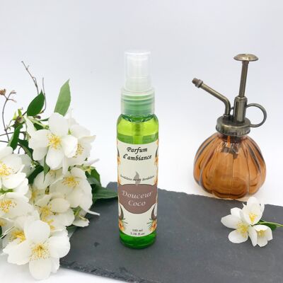 Sweet Coconut Scented Mist