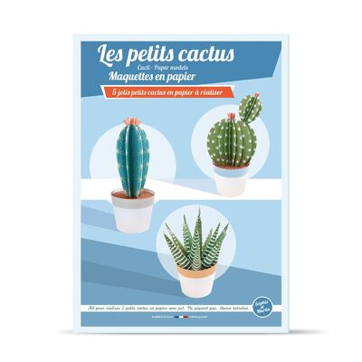 Cactus pequeños