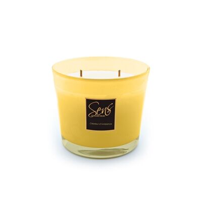 Bougie Jaune Miel 800gr Fragrance : "Fleur d'Oranger"