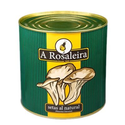 Setas al natural A Rosaleira lata 2450g