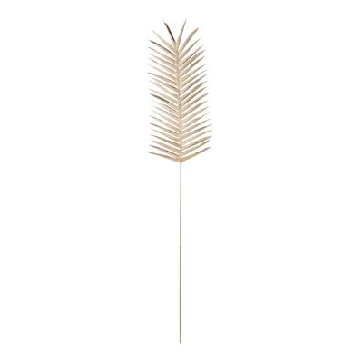 Oda Déco Fleur, Nature, Feuille de palmier - (L20xH100xL2 cm)