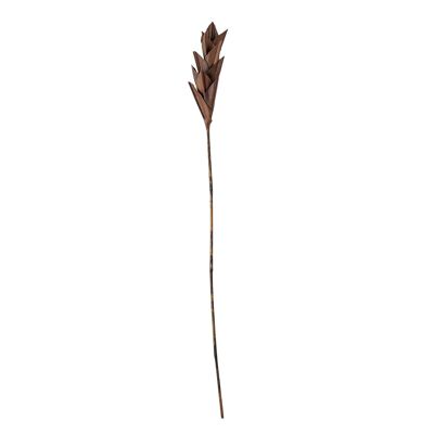 Afina Deco Flower, Braun, Palmblatt - (L10xH93xB10 cm)