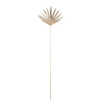 Naia Deco Blume, Natur, Palmblatt - (L26xH93xB1,5 cm)