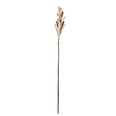 Natelie Deco Flower, Natur, Palmblatt - (L10xH93xB10 cm)