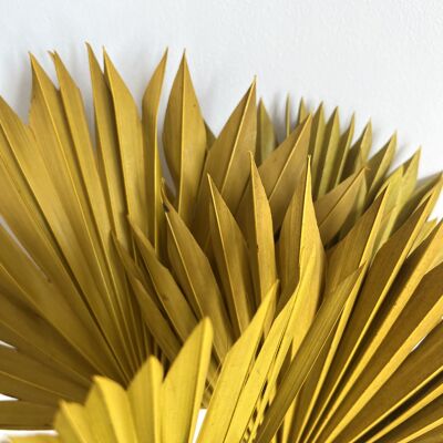 Sun Palm Leave Jaune - 40-45cm - une pièce
