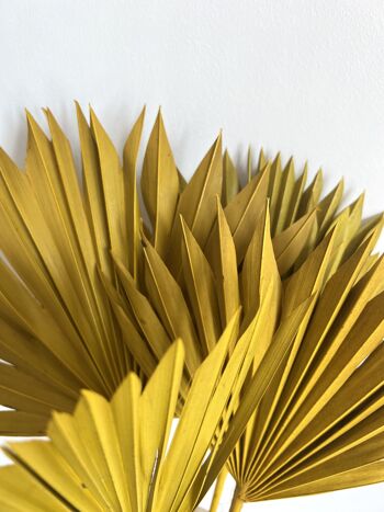 Sun Palm Leave Jaune - 40-45cm - une pièce 1