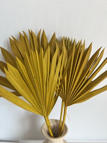 Sun Palm Leave Jaune - 40-45cm - une pièce 2