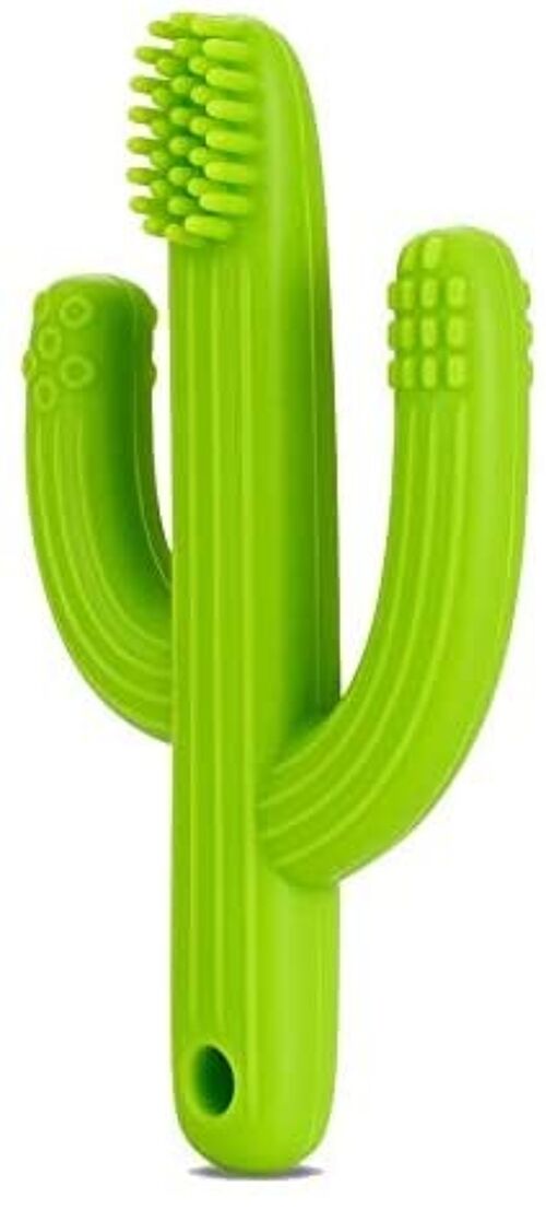 Ana Baby Cactus Shaped Teething Toothbrush, Suitable for 3+ Months, BPA Free (AWB500)