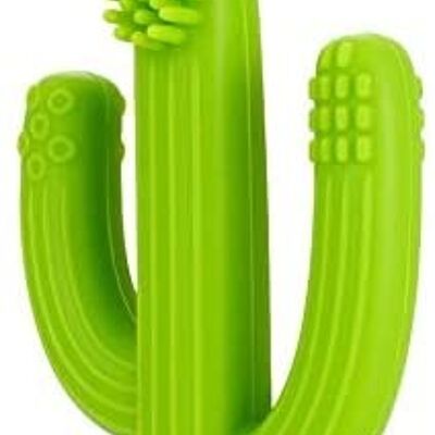 Spazzolino da dentizione Ana Baby a forma di cactus, adatto per 3+ mesi, senza BPA (AWB500)