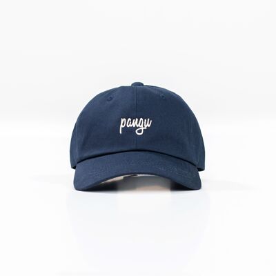 Classic pangu ColorFlash Cap - Navy