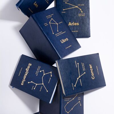 PACK - Astro-Notizbücher (12 Zeichen x2) ✨
