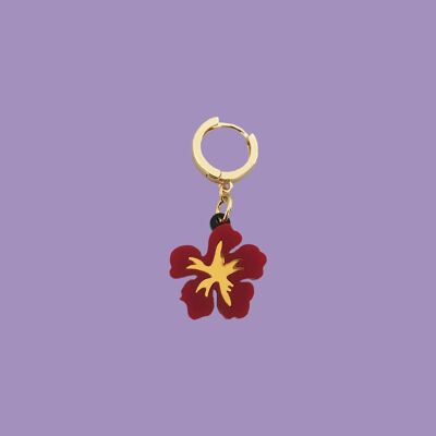 CHARM HIBISCUS