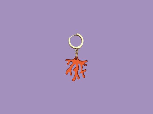 CHARM CORAL