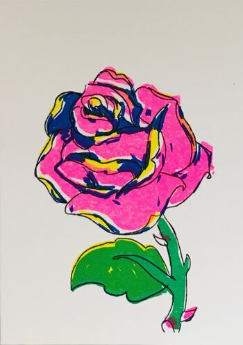 Carte rose rose