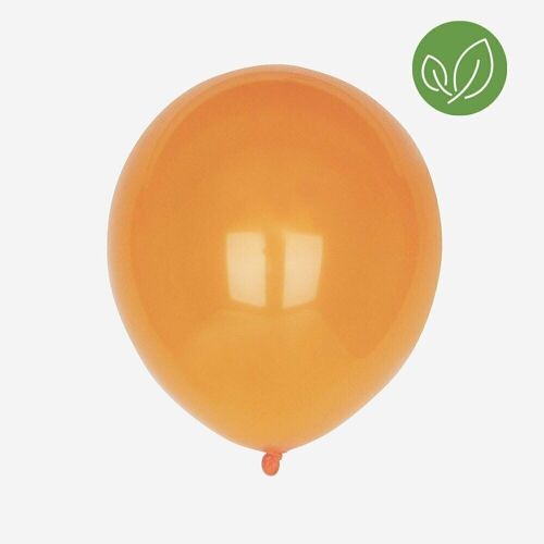 10 Ballons de baudruche : orange