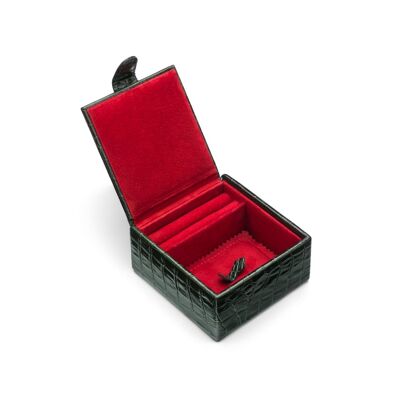 Luxury Leather Accessory Box - Green Croc With Red - Green croc with red - Helvetica/silver